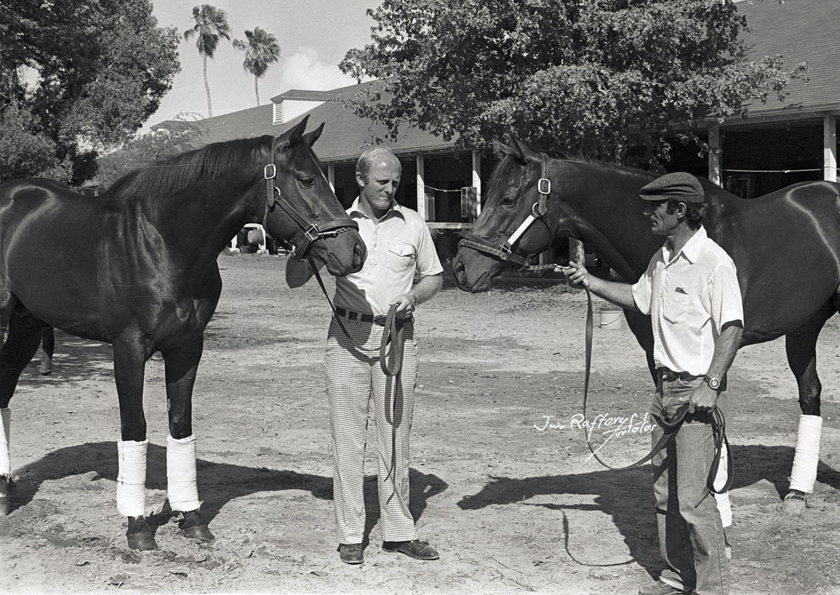 Jim Raftery A Turfotos Retrospective National Museum of Racing and